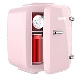 YASHE Mini Nevera, 4L Comética Pequeña Nevera para Dormitorio, CA 220V/ CC 12V...