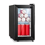 KLARSTEIN Mini Nevera Pequeña con Puerta de Cristal para Habitaciones,...