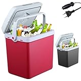 Arebos Nevera Termoeléctrica Portátil | Nevera 12v Compresor | Refrigerador De...