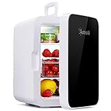 AstroAI Mini refrigerador 10 litros/6 latas portátil AC/DC sistema...